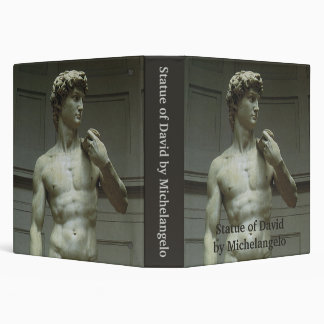Michelangelo's Statue of David Binder
