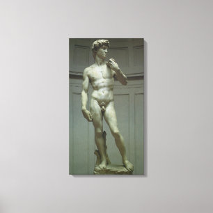 Michelangelo's Statue of David Canvas Print