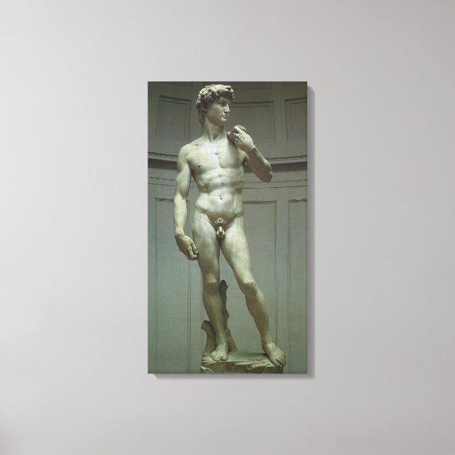 Michelangelo's Statue of David Canvas Print (Front)