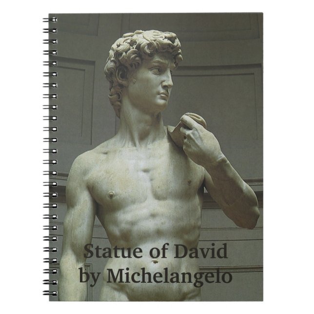 Michelangelo's Statue of David Notebook (Front)