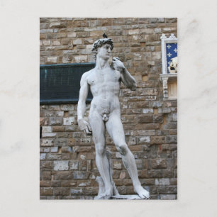 Michelanglo's David Postcard