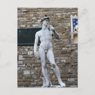Michelanglo's David Postcard