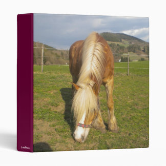 michi- grasend binder