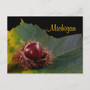 Michigan, Autumn Leaf With Nut Postcard