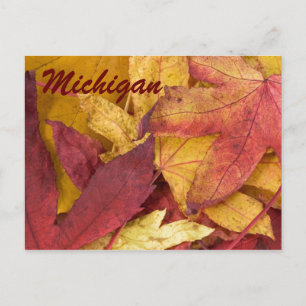 Michigan Autumn Leaves Postcard