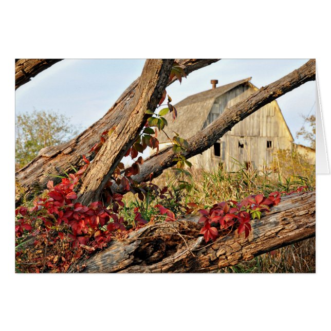 Michigan Barn and Fall Color (Devant horizontal)