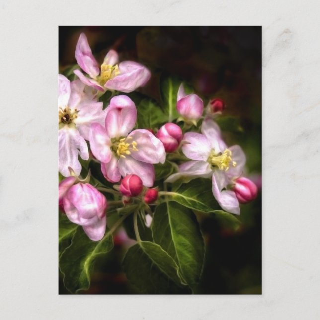 Michigan Blooms Postcard (Front)