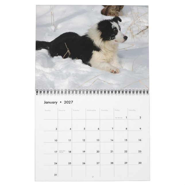 Michigan Border Collies 2012 Calendar (Jan 2027)