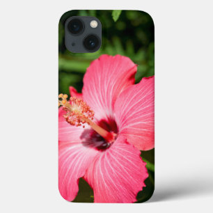 Michigan, Dearborn. Detail Of Pink Hibiscus iPhone 13 Case