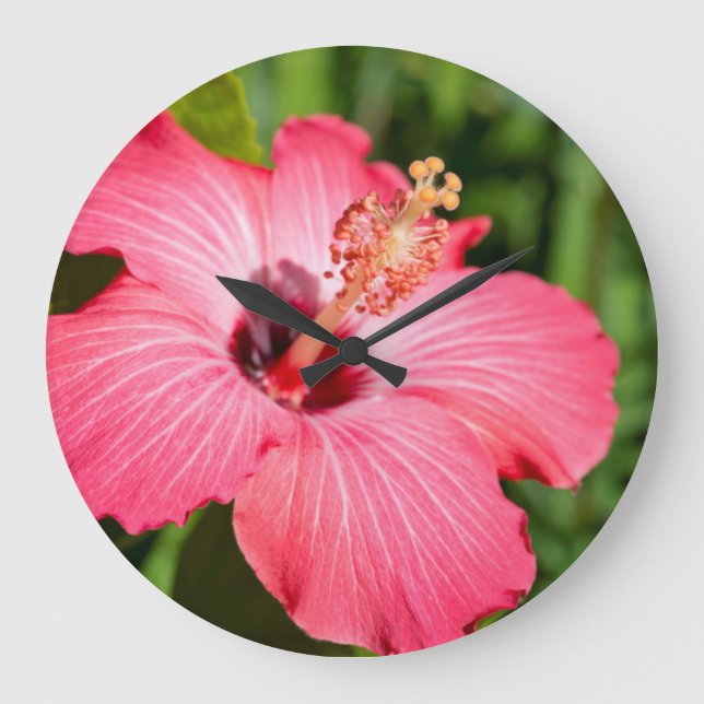 Michigan, Dearborn. Detail Of Pink Hibiscus Large Clock (Front)