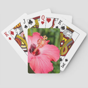 Michigan, Dearborn. Detail Of Pink Hibiscus Playing Cards