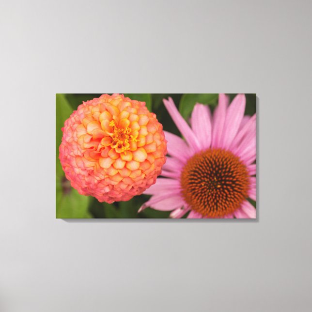 Michigan, Dearborn, Greenfield Village. Peach Canvas Print (Front)