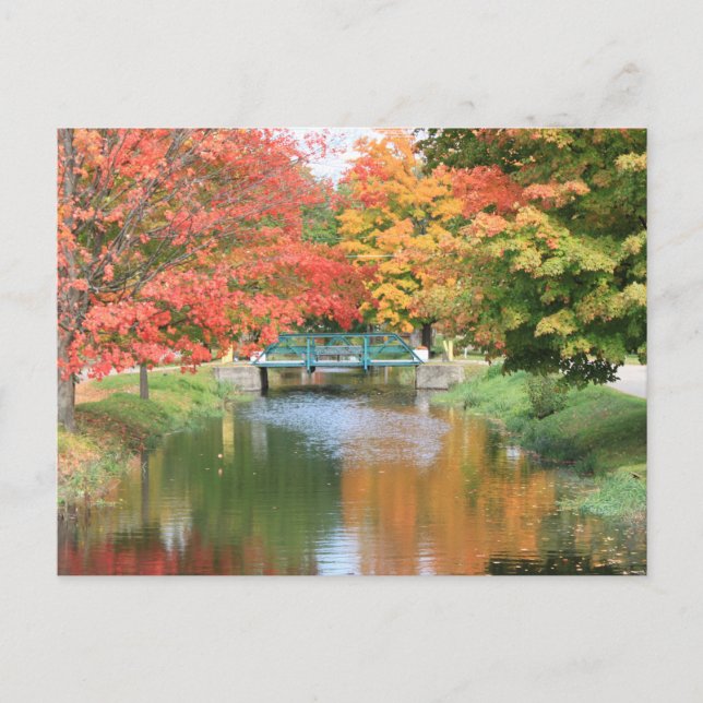 Michigan Fall Colours Postcard (Front)