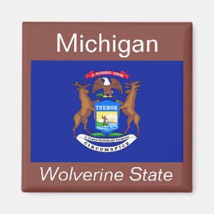 Michigan Flag Magnet