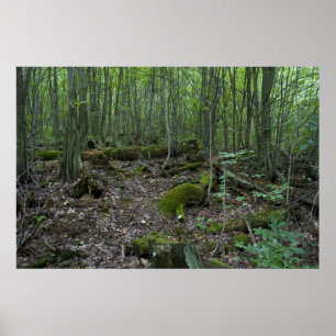 Michigan forest print