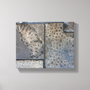 Michigan Petoskey Stone Canvas Print