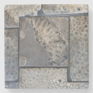 Michigan Petoskey Stone Coaster