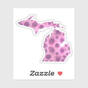 Michigan Petoskey stone   Great Lake state