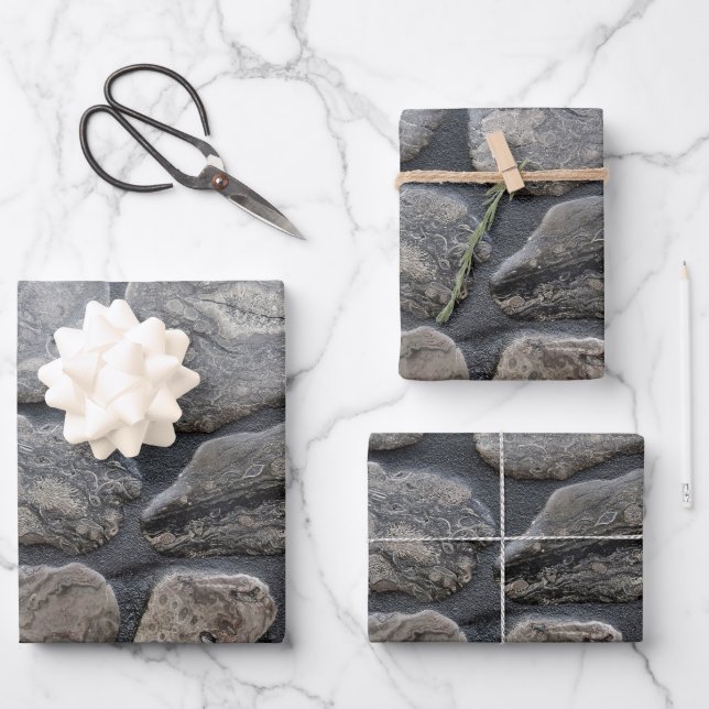 Michigan Petoskey Stones Wrapping Paper Sheet (Front)