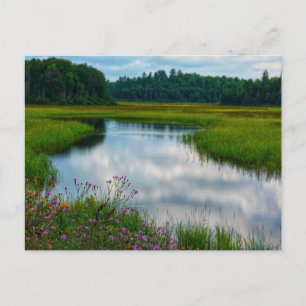 Michigan Scene Postcard