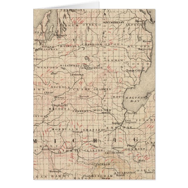 Michigan showing contour lines (Front)