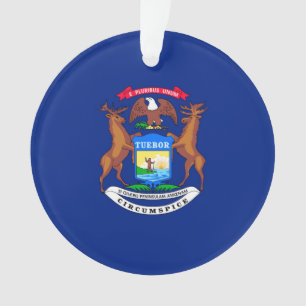 Michigan State Flag Design