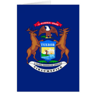 Michigan State Flag Design