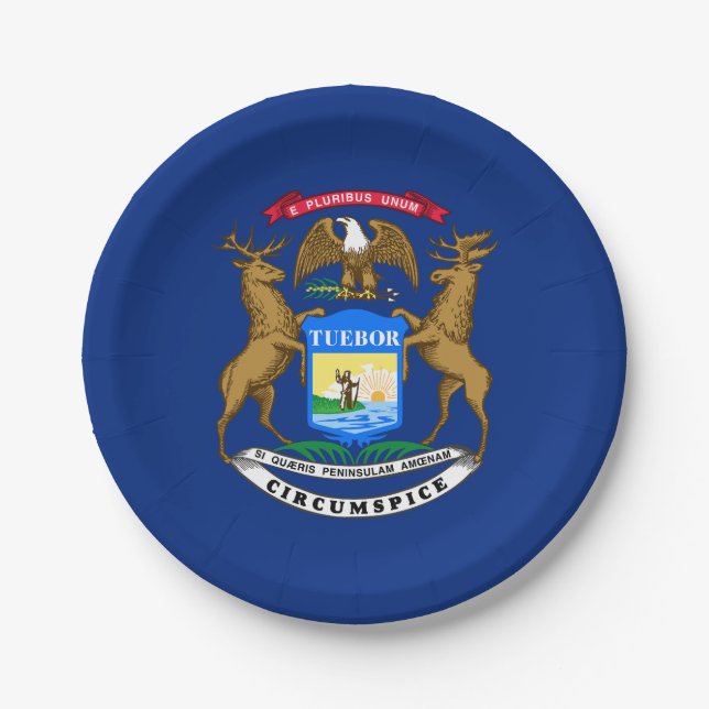 Michigan State Flag Paper Plate (Front)