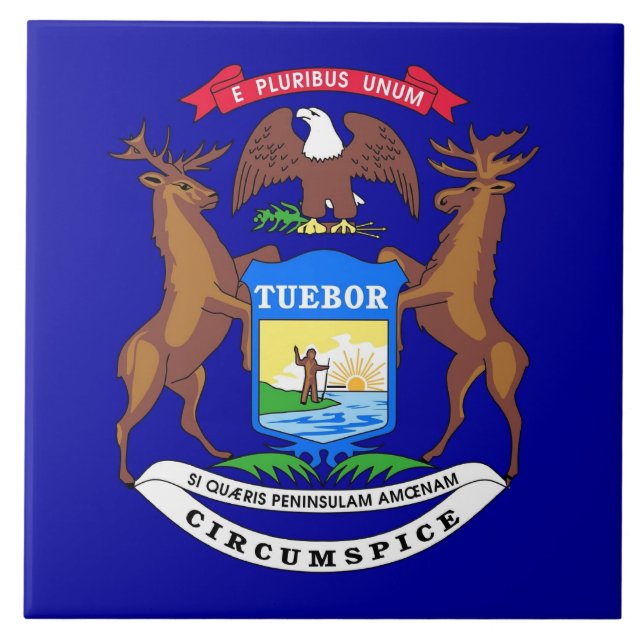 Michigan State Flag Tile (Front)