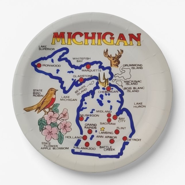 Michigan State Party Plates (Front)