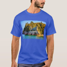 MICHIGAN - T-SHIRT PITTOYÉ ROCHERS
