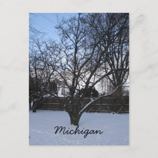 Michigan winter post card
