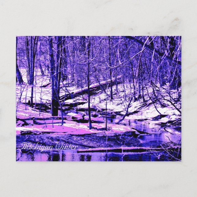Michigan Winter Postcard (Front)