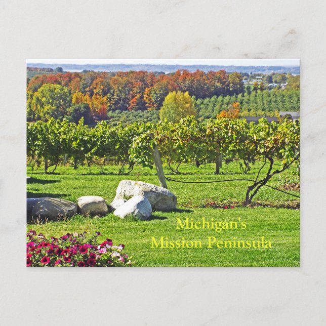 MICHIGAN'S OLD MISSION PENINSULA IN FALL POSTCARD (Front)