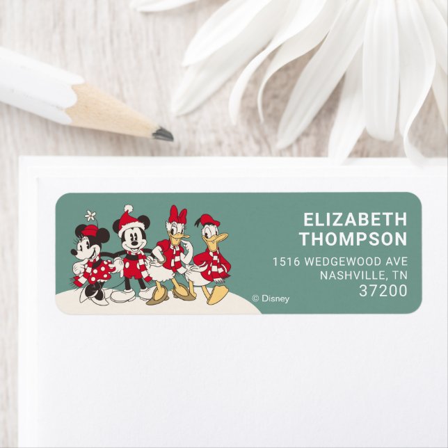 Mickey & Friends Winter Baby Shower (Insitu)