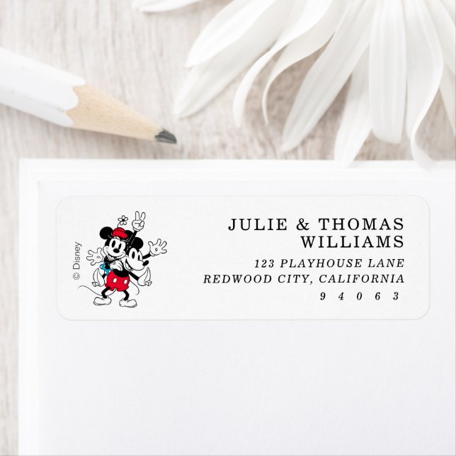 Mickey & Minnie | Twins Birthday  (Insitu)