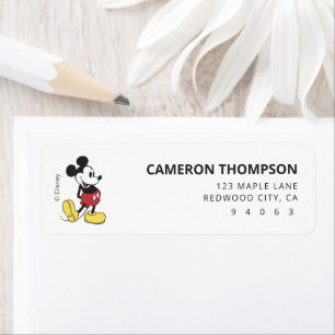 Mickey Mouse 60e anniversaire