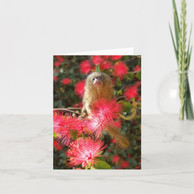 Mico in the "wild" Notecards (Front)