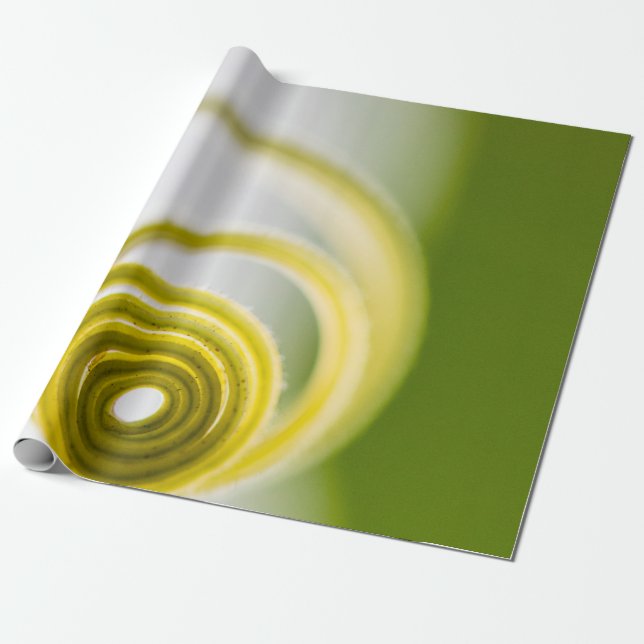 Micro photography of plant stem wrapping paper (Unrolled)