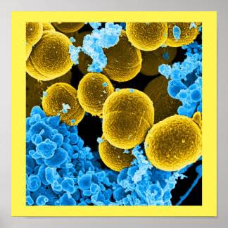 microbiologie abstraite art poster personnalisé to