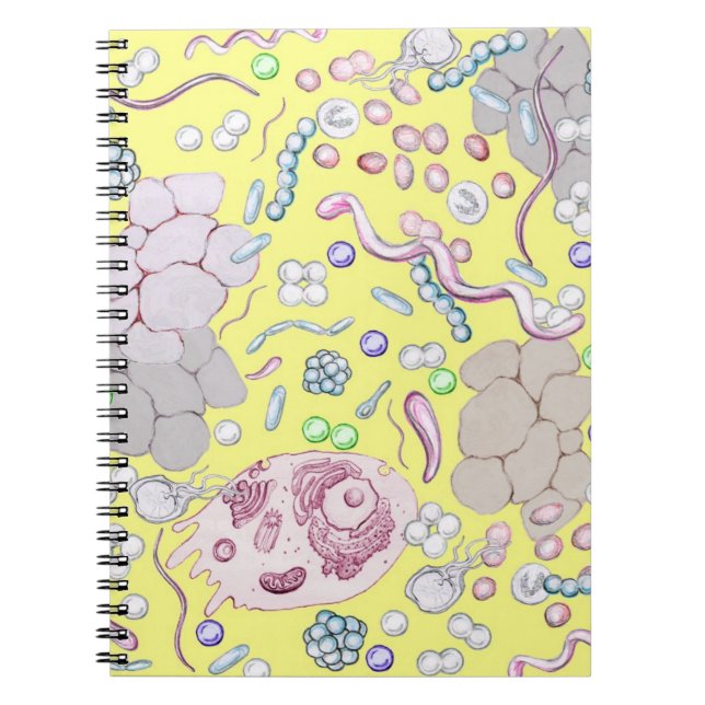 Microbiology In Yellow Notebook (Front)