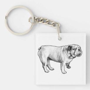 microdot poise, bulldog keychain