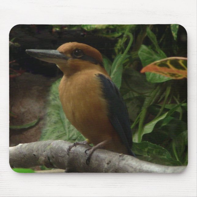 Micronesia Kingfisher Mouse Pad (Front)