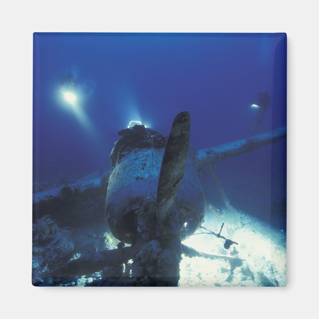Micronesia, Palau, World Heritage Site. Divers Magnet (Front)