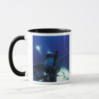Micronesia, Palau, World Heritage Site. Divers