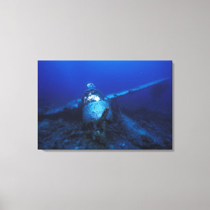 Micronesia, Palau, World Heritage Site. WWII Canvas Print