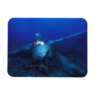 Micronesia, Palau, World Heritage Site. WWII Magnet
