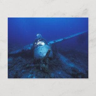 Micronesia, Palau, World Heritage Site. WWII Postcard