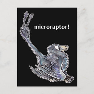 Microraptor Postcard