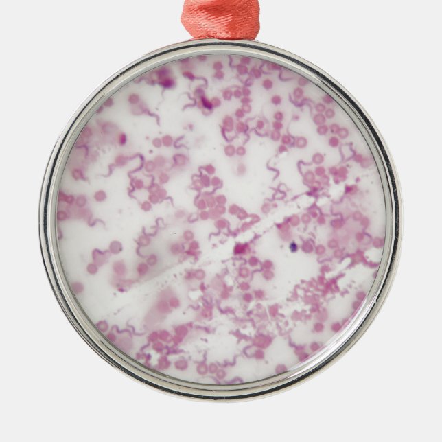 Microscope photo of human blood with Trypanosoma b Metal Ornament (Front)